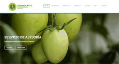Desktop Screenshot of peninsulares.com